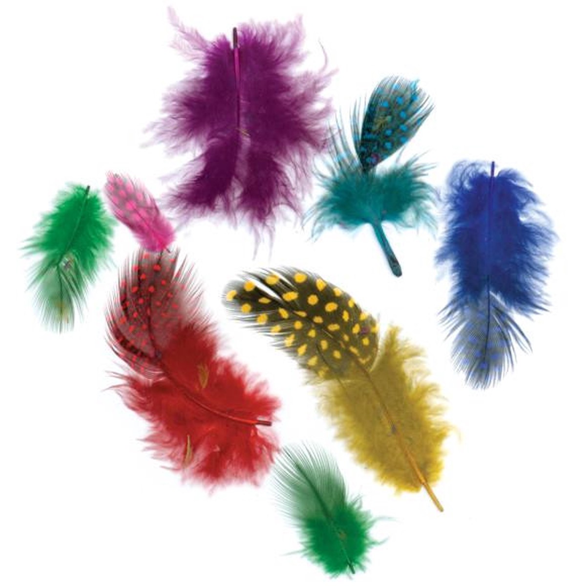 Zucker Guinea Hen Plumage Feathers .1oz - Classic Vibrant