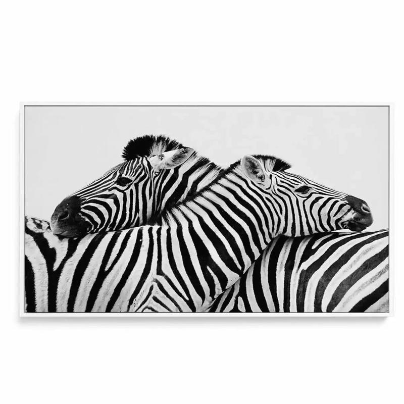 Zebras Embrace | LS | Framed Canvas