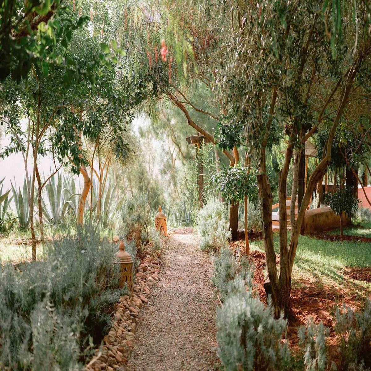 botanical road through paradise ii